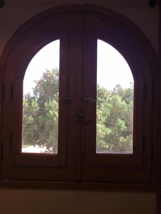 Dahab Home Bed&Breakfast Экстерьер фото